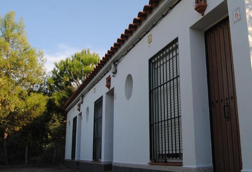استودیوی استاندارد, Aparthotel Las Palomas