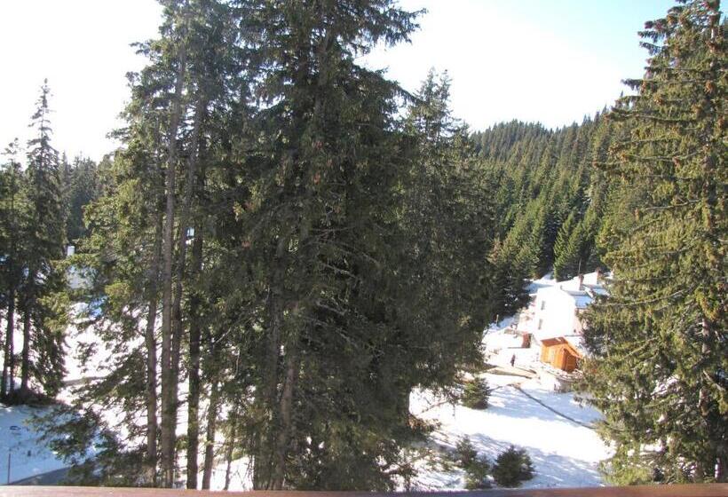 آپارتمان 1 خوابه با بالکن, Aparthotel Pine Hills Pamporovo