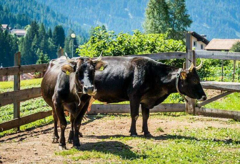 آپارتمان 1 خوابه, Agritur Ciasa Dò Parè