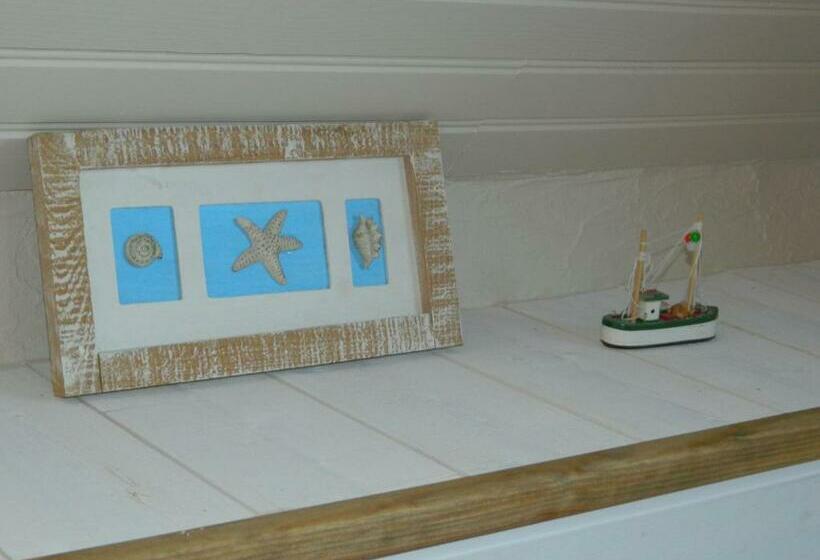 اتاق استاندارد, Chambre D'hotes La Mexicaine