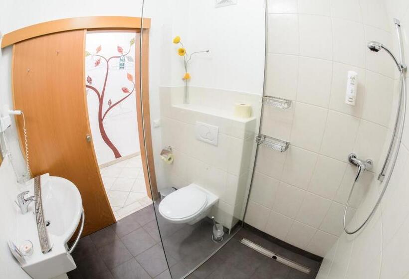 آپارتمان 1 خوابه, Gästehaus Haiminger Ehemalig Schmelz