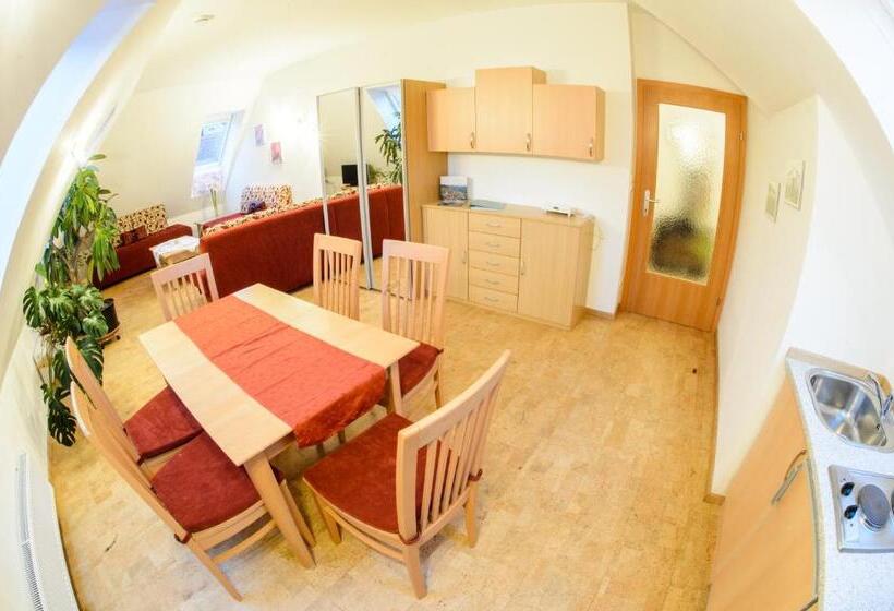 آپارتمان 1 خوابه, Gästehaus Haiminger Ehemalig Schmelz