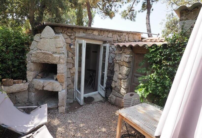 استودیوی استاندارد, Maranatha Résidence Avec Plage Privée, Piscine Chauffée