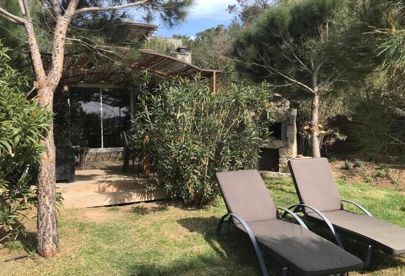 ویلای 2 خوابه با چشم‌انداز دریا, Maranatha Résidence Avec Plage Privée, Piscine Chauffée