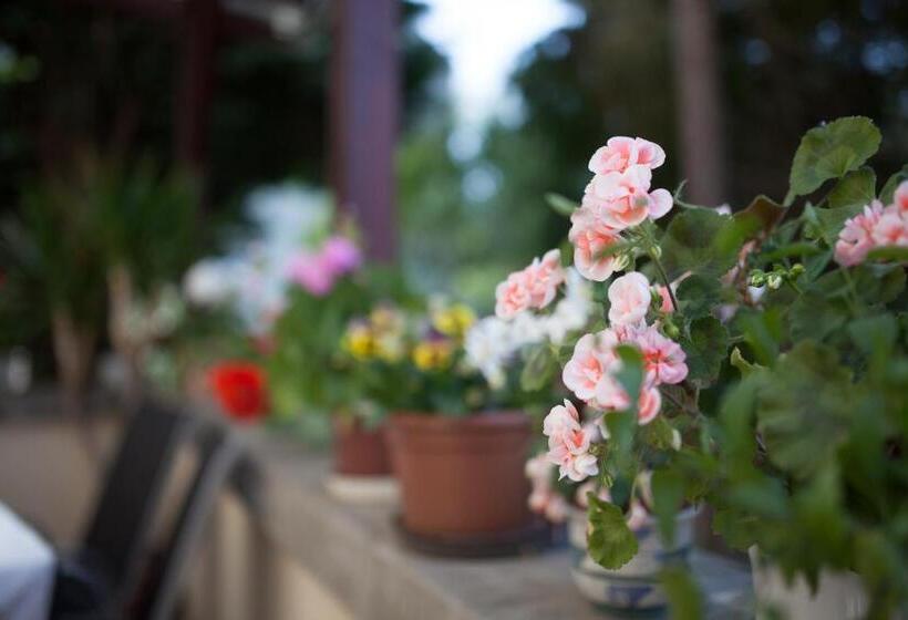 اتاق استاندارد چهار تخته, Villa Cecile