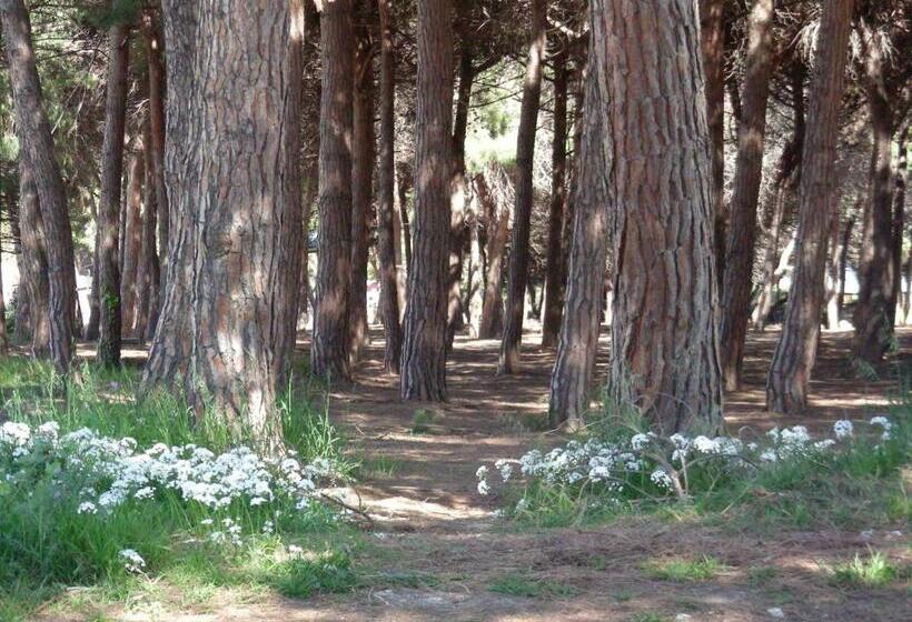 اتاق سوپریور خانوادگی, Pier Delle Vigne B&b