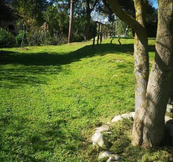 اتاق سوپریور خانوادگی, Pier Delle Vigne B&b
