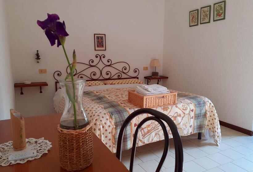 اتاق استاندارد, Pier Delle Vigne B&b