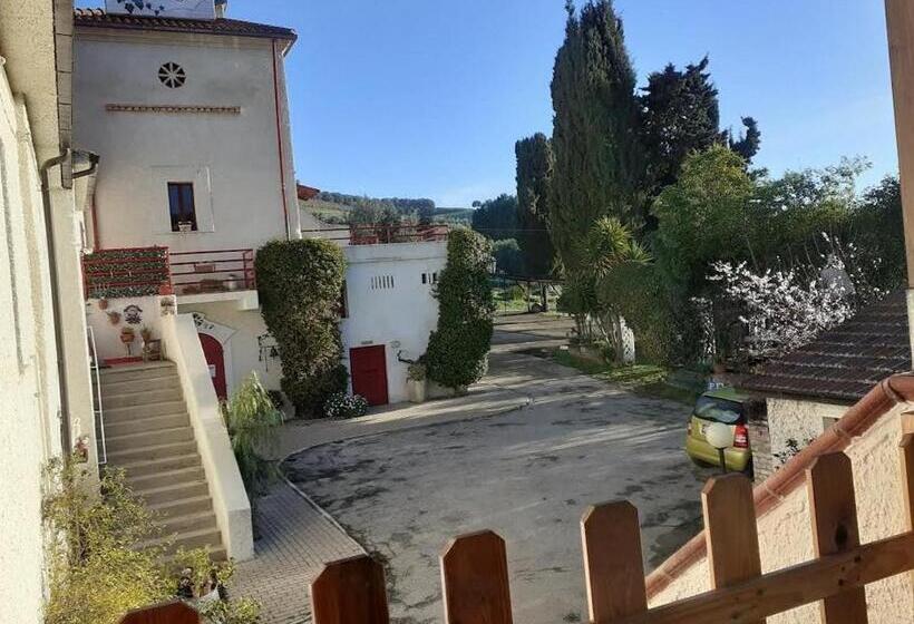 اتاق استاندارد, Pier Delle Vigne B&b