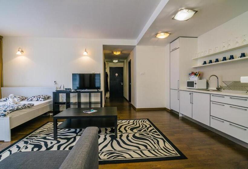 آپارتمان سوپریور 1 خوابه, Luxury Downtown Apartments