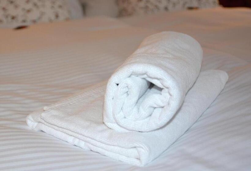 اتاق کلاسیک یک تخته, Wellness Vila Bohemia