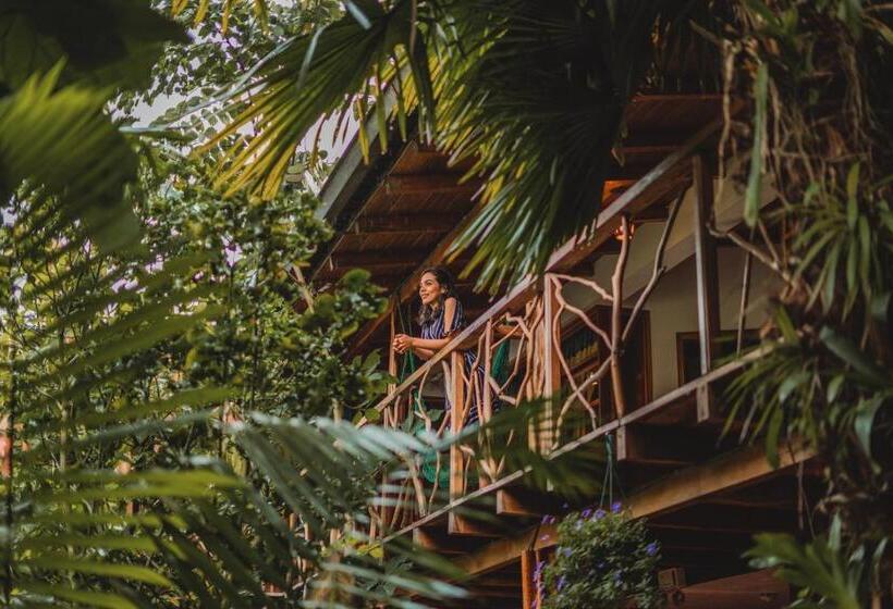 اتاق سوپریور یک تخته, Hostal Las Palmas