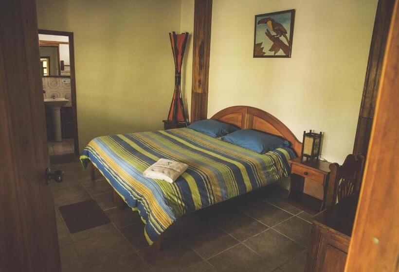 اتاق سوپریور یک تخته, Hostal Las Palmas