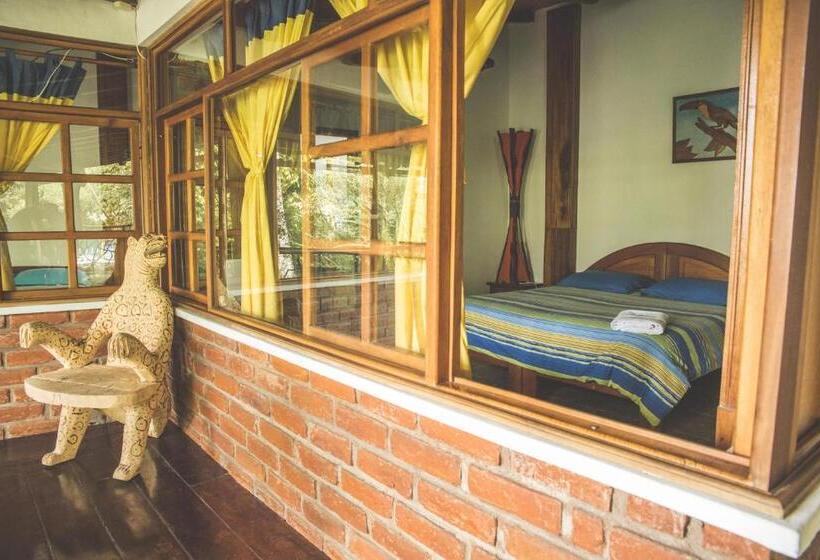 اتاق سوپریور یک تخته, Hostal Las Palmas