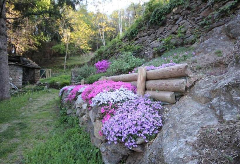 آپارتمان 1 خوابه با تراس, L'antico Borgo