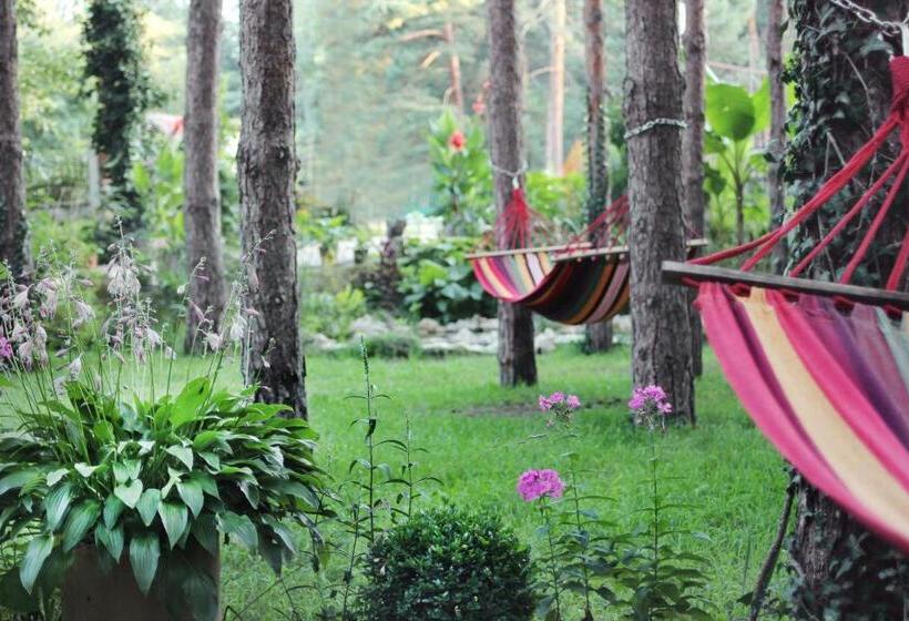 اتاق استاندارد سه تخته با بالکن, Vila Dunavski Raj