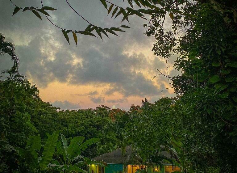 استودیوی استاندارد, Heavenly Hana Paradise