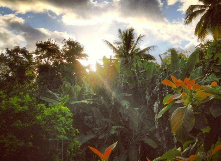 استودیوی استاندارد, Heavenly Hana Paradise