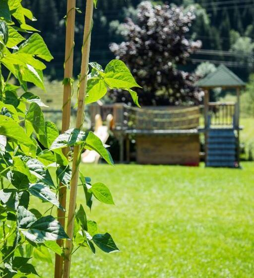 , Aparthotel Steger Wagrain