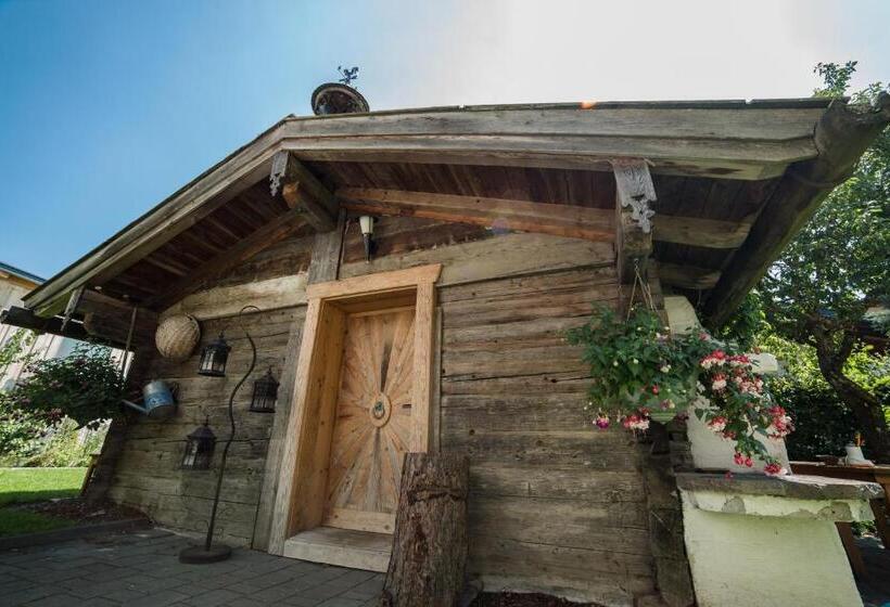 آپارتمان 3 خوابه, Aparthotel Steger Wagrain