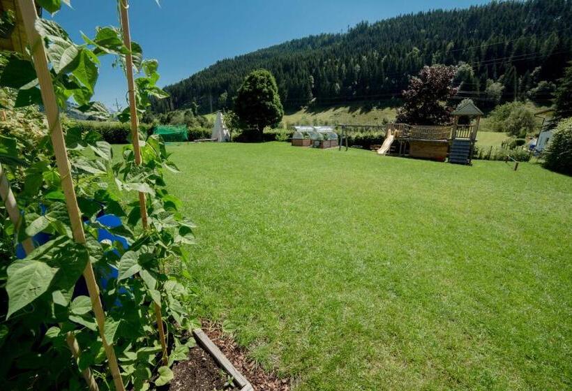 آپارتمان 1 خوابه با تراس, Aparthotel Steger Wagrain