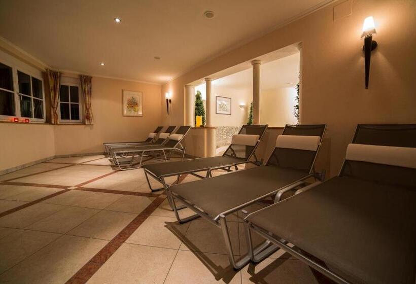 آپارتمان 1 خوابه همکف, Aparthotel Steger Wagrain