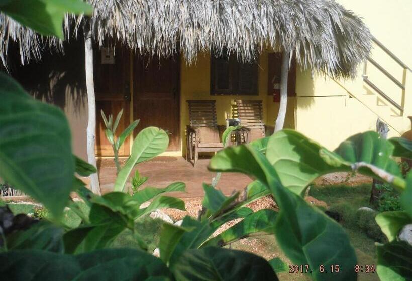 اتاق استاندارد, Kudehya Guesthouse