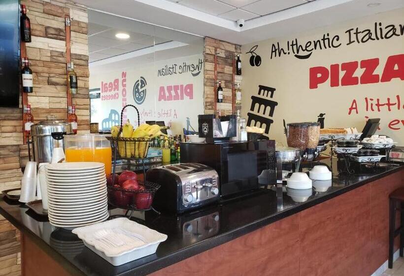سوئیت با تخت بزرگ, Arecibo Inn