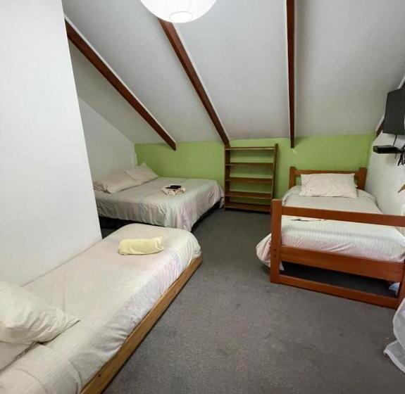 اتاق خانوادگی, Pucontours Hostal   Hostel