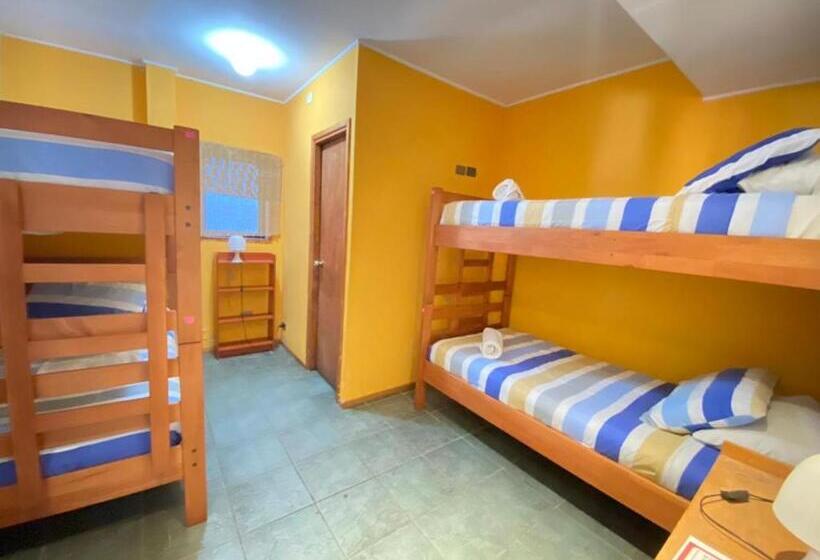 اتاق استاندارد چهار تخته, Pucontours Hostal   Hostel