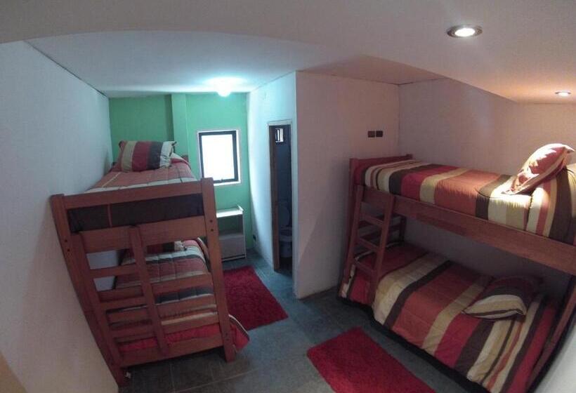 اتاق استاندارد چهار تخته, Pucontours Hostal   Hostel