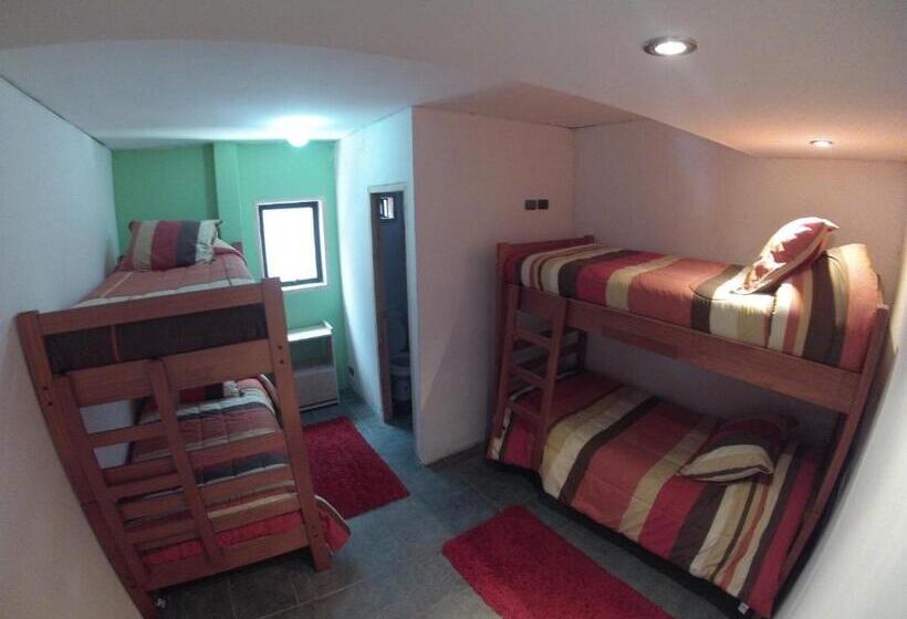 اتاق استاندارد چهار تخته, Pucontours Hostal   Hostel