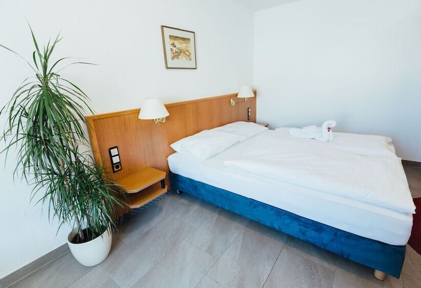 اتاق استاندارد, Heilbronner Pension Am Schonen Theater