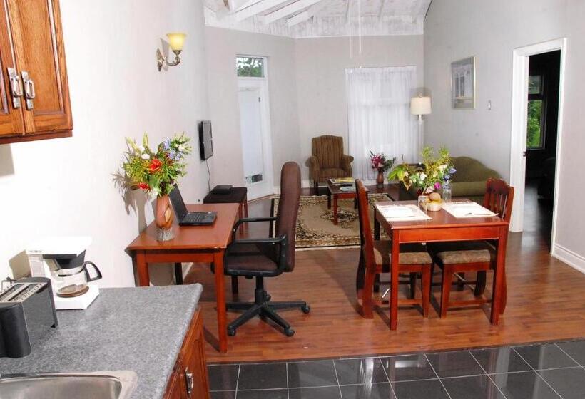 آپارتمان 1 خوابه, Guest House Villa Mishkan