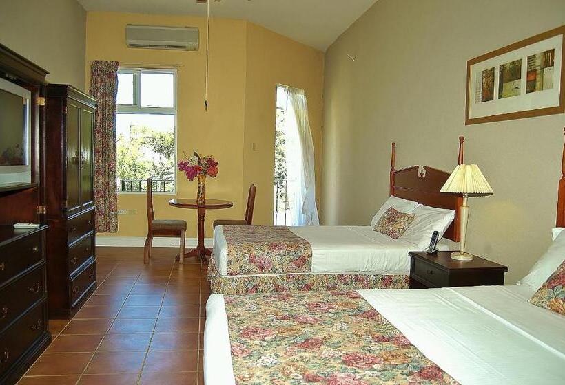 اتاق لوکس, Guest House Villa Mishkan