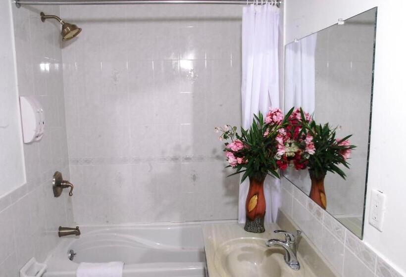 سوئیت 2 خوابه, Guest House Villa Mishkan