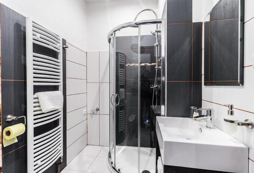 اتاق لوکس, Apartments Benešova 6