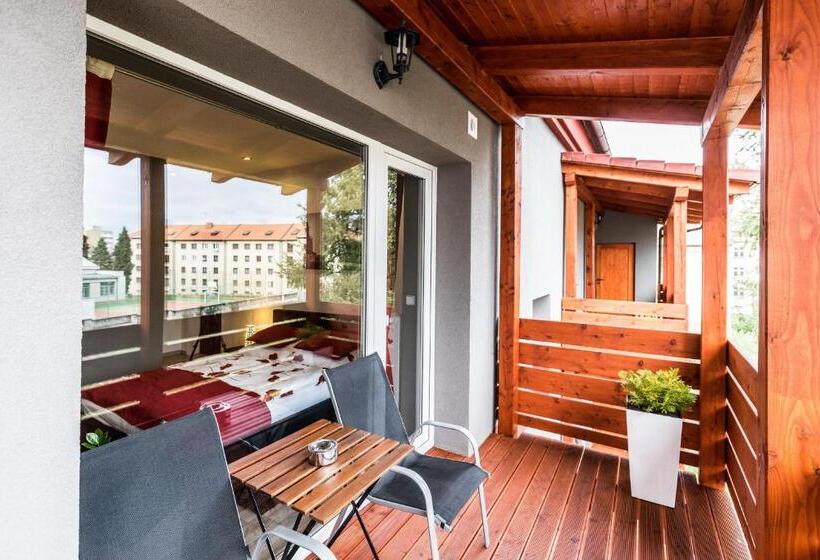 اتاق لوکس با بالکن, Apartments Benešova 6