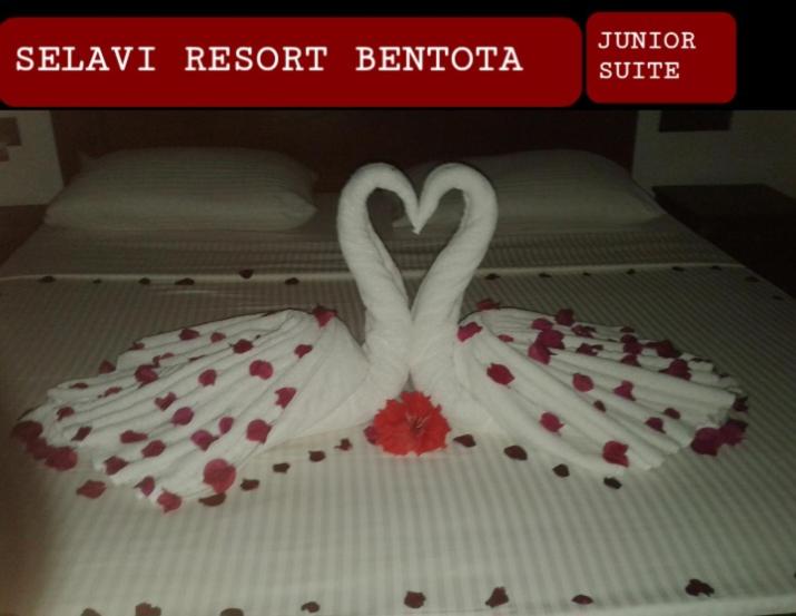 اتاق استاندارد با تراس, Selavi Resort Bentota