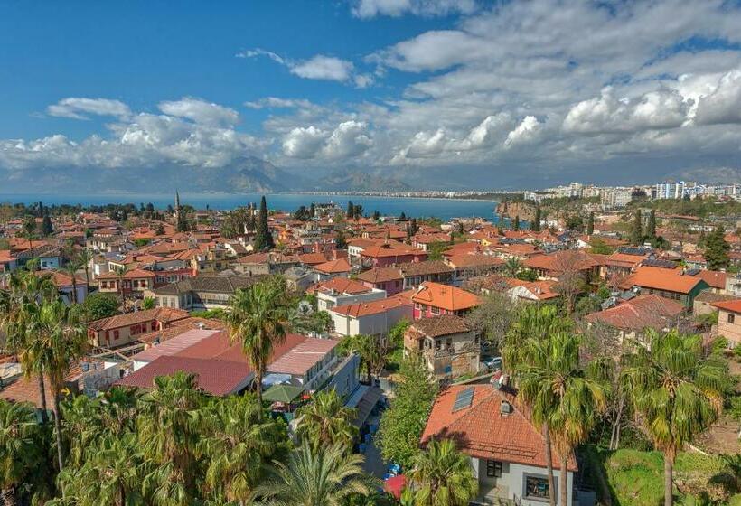 آپارتمان 1 خوابه با چشم‌انداز دریا, Arkk Homes