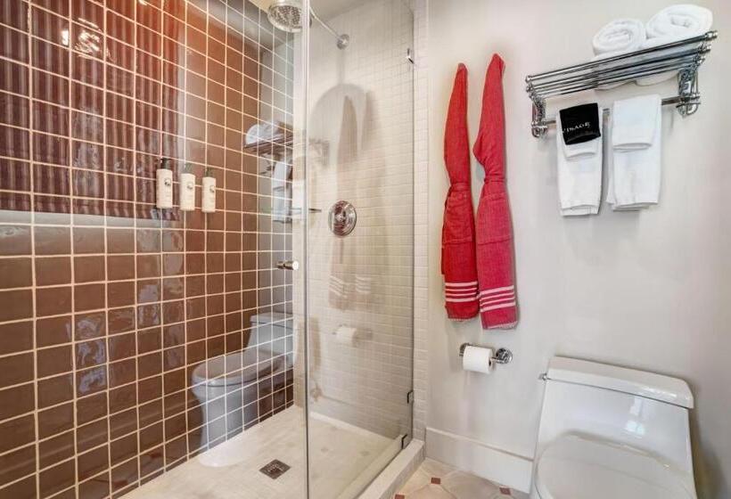 استودیو استاندارد با تخت کینگ, Trouvail Miami Beach