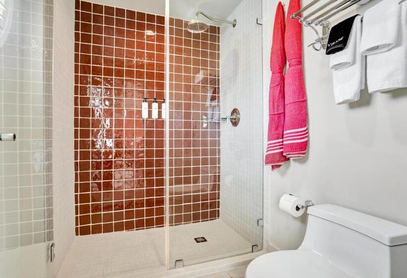 استودیوی لوکس, Trouvail Miami Beach