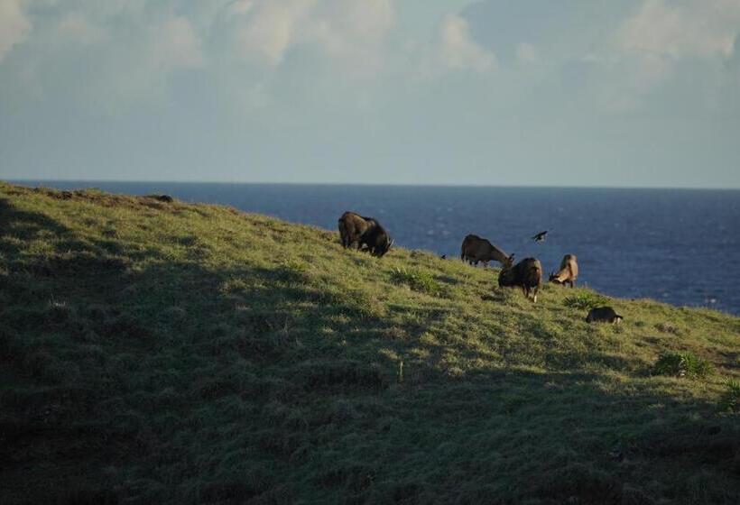 تختخواب در اتاق مشترک, Slow Island Hostel