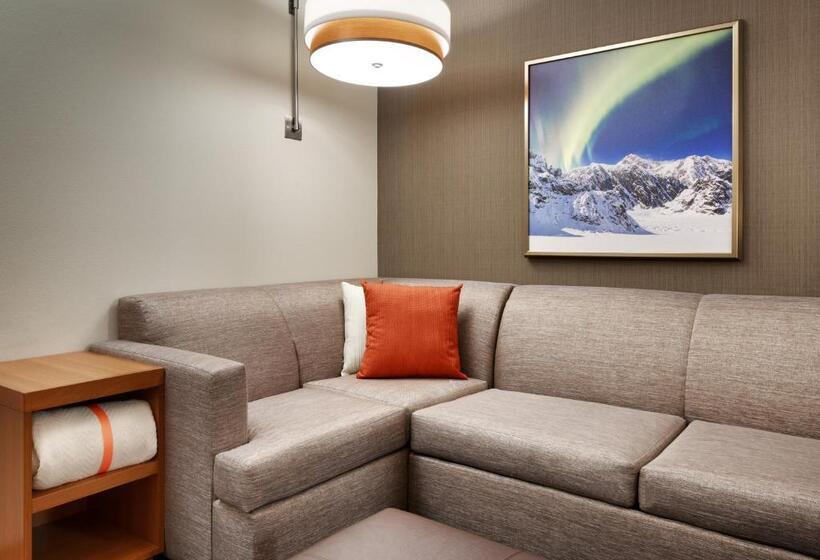 اتاق استاندارد با تخت دو نفره بزرگ برای معلولان, Hyatt Place Anchorage Midtown