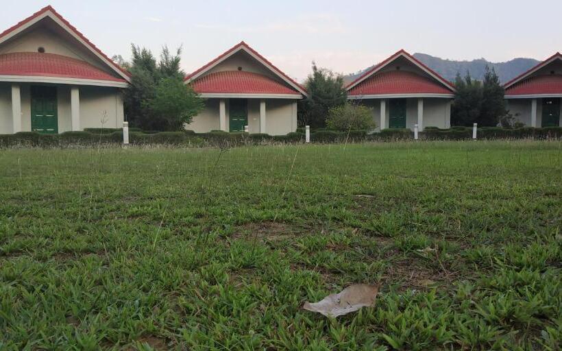 اتاق سوپریور با تخت بزرگ, Noune Resort