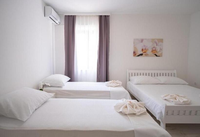 آپارتمان 1 خوابه, Apartmani Vila Kosa