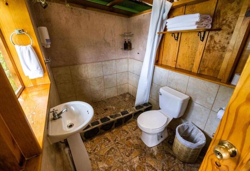 اتاق استاندارد, Earth Lodge