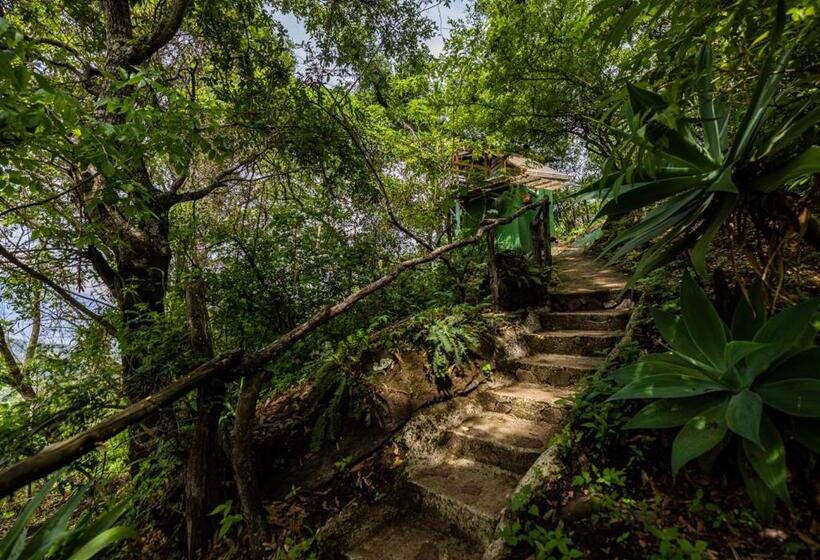 اتاق استاندارد یک نفره, Earth Lodge
