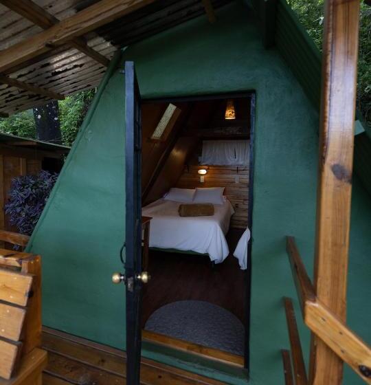 اتاق استاندارد, Earth Lodge
