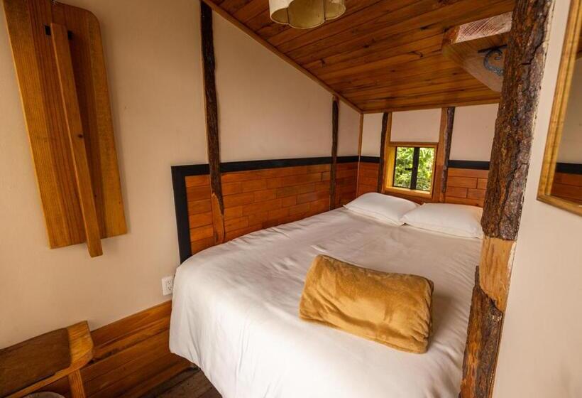 اتاق استاندارد یک نفره, Earth Lodge
